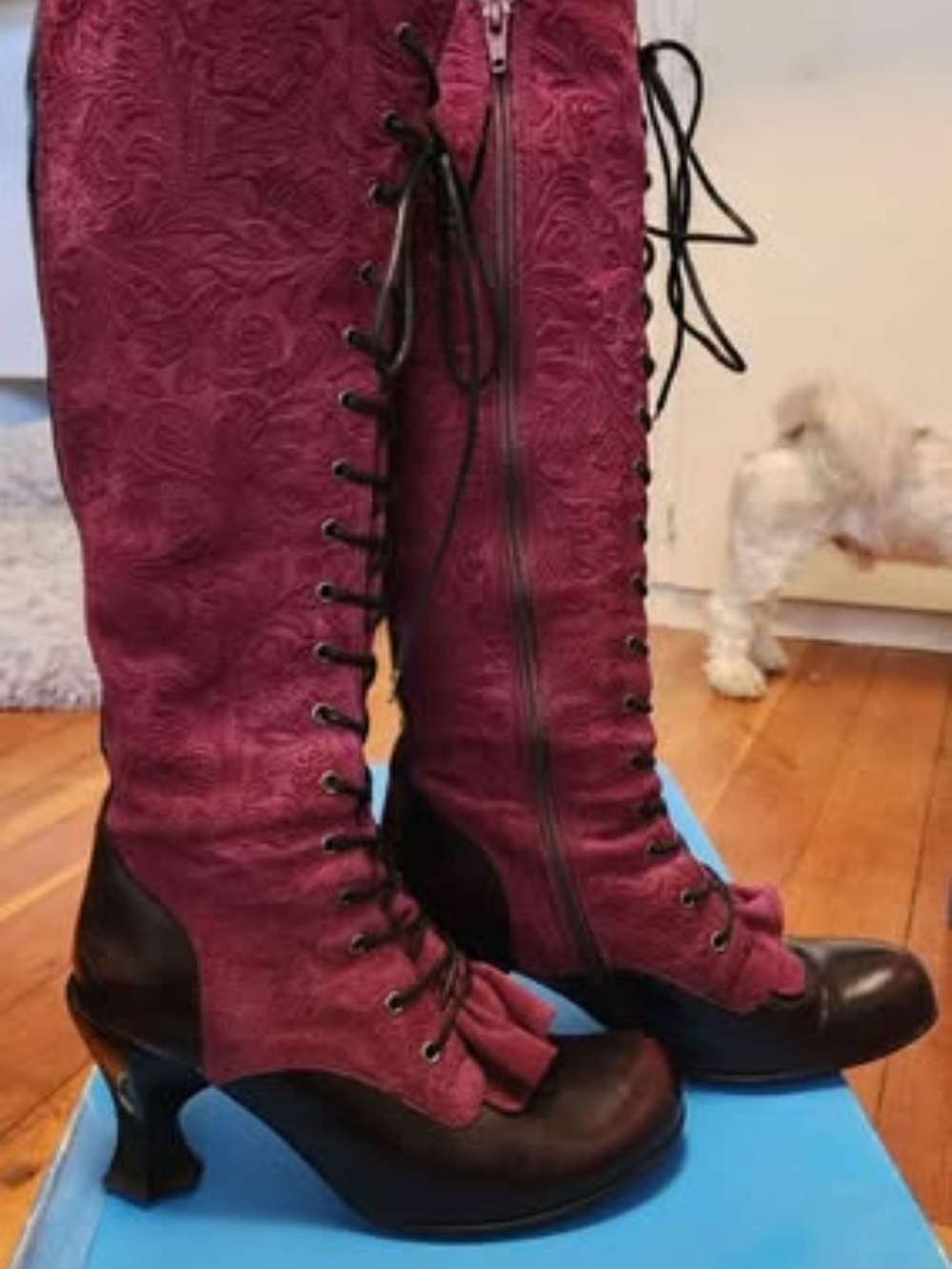 John Fluevog Burgundy Lace-Up Mid-Calf Boots with Black Accents